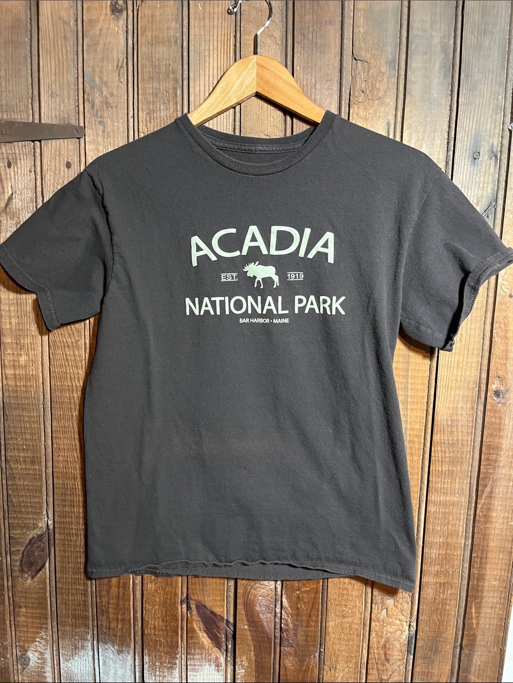 Acadia National Park Graphic Tee